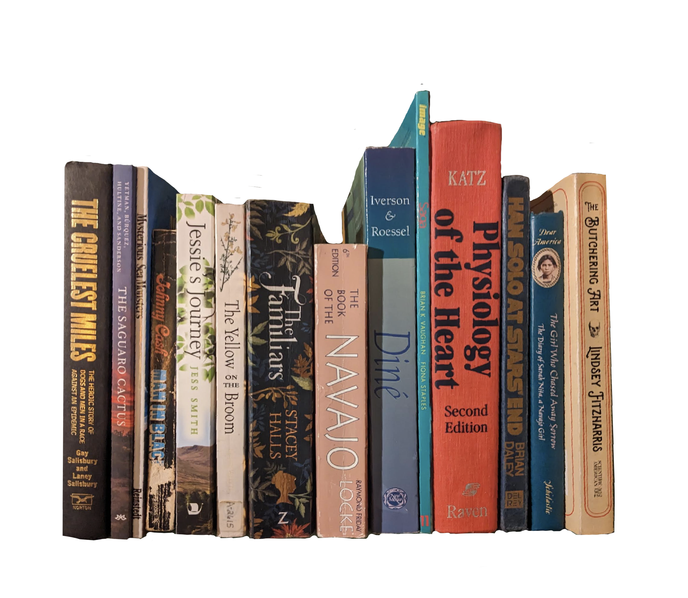 Row of books 4