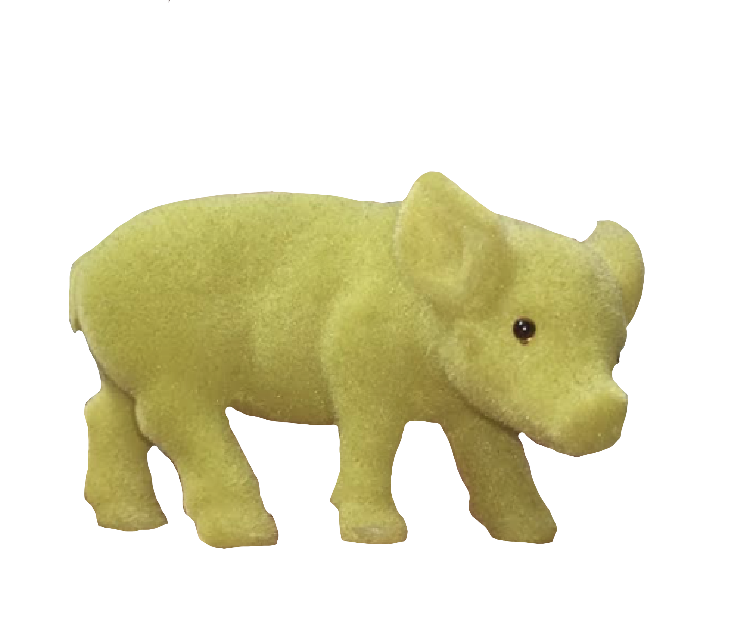pig